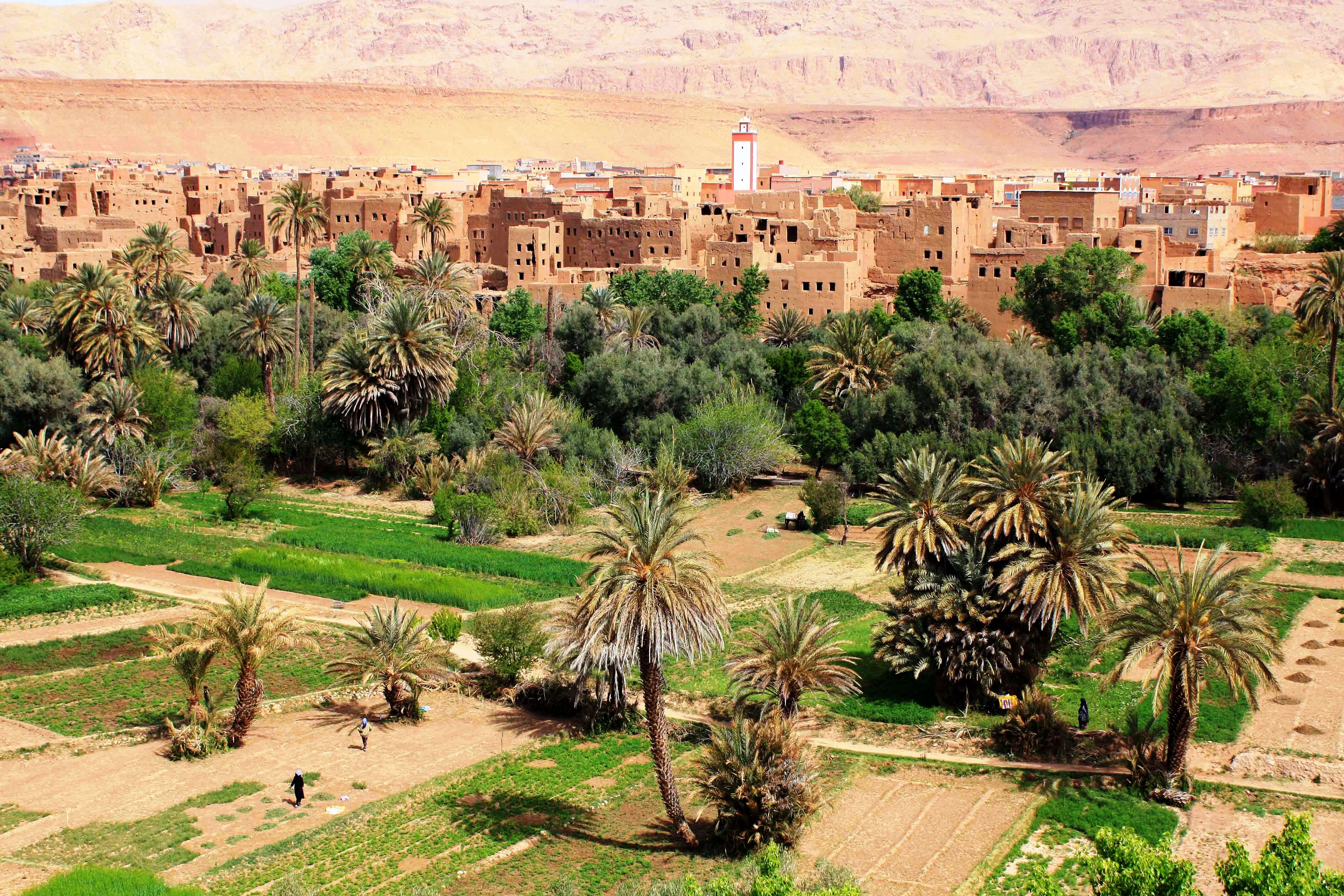 03 days Sahara desert shared group tour to Erg Chebbi in Merzouga from Marrakech