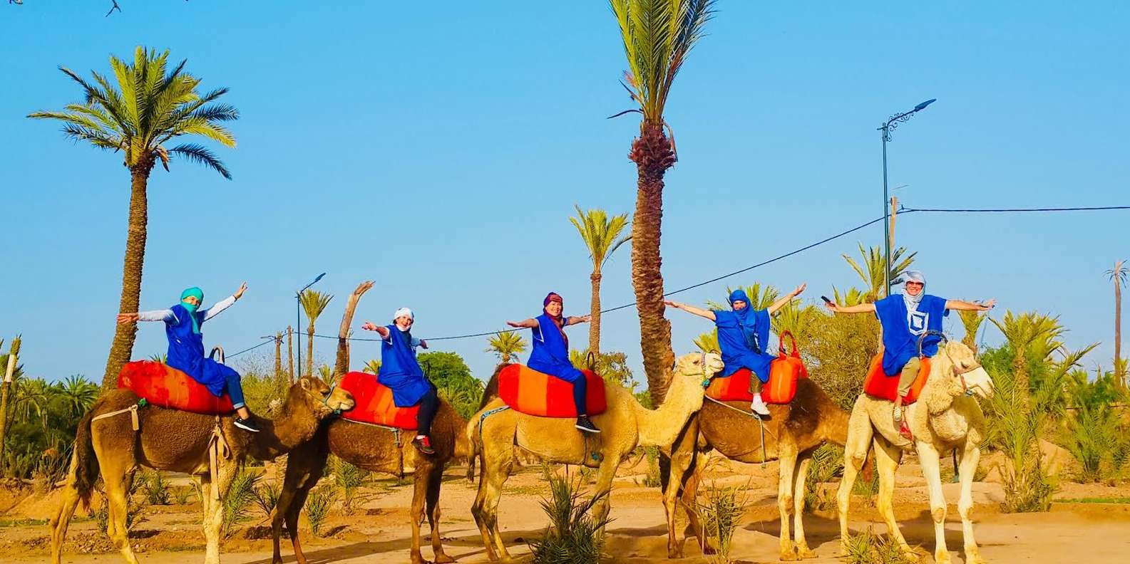 Morocco camel ride tours to explore the palm groves of Marrakech