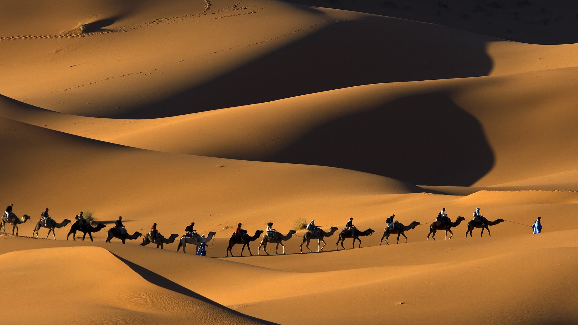 Morocco camel ride tours to explore the Sahara desert of Erg Chebbi in Merzouga
