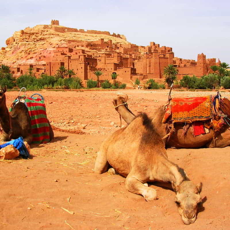 Ait benhaddou & ouarzazate day trip from Marrakech