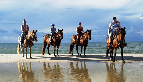 morocco horse ride tour in the coastal city of essaouira