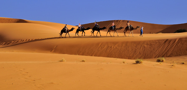 10 days new year imperial cities & desert tour from Casablanca